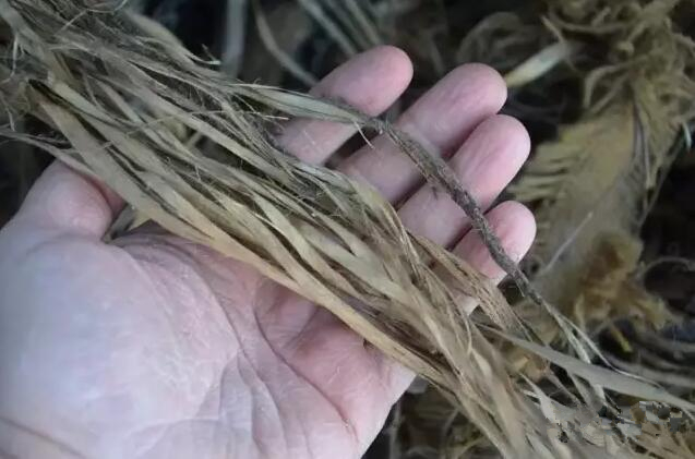 QQ截圖20180712164456