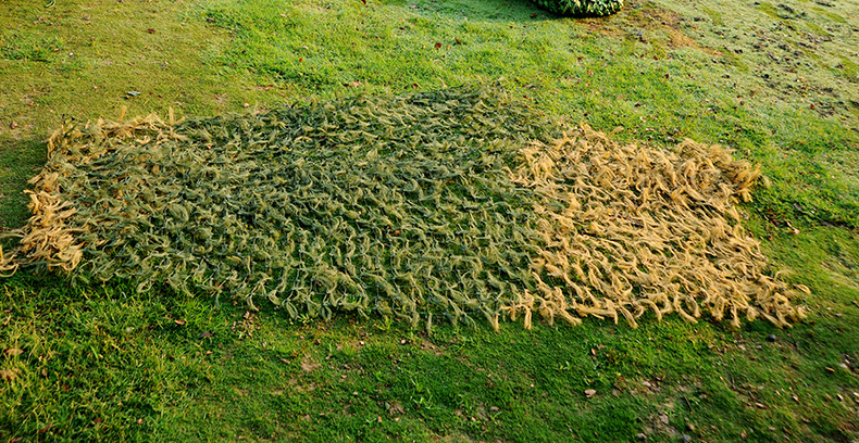 松針偽裝網